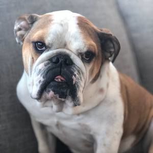 Meet your Posher, Barbara